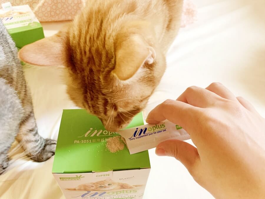 貓蛋白質攝取量 貓咪營養劑 貓牛磺酸推薦 貓咪牛磺酸 牛磺酸功能