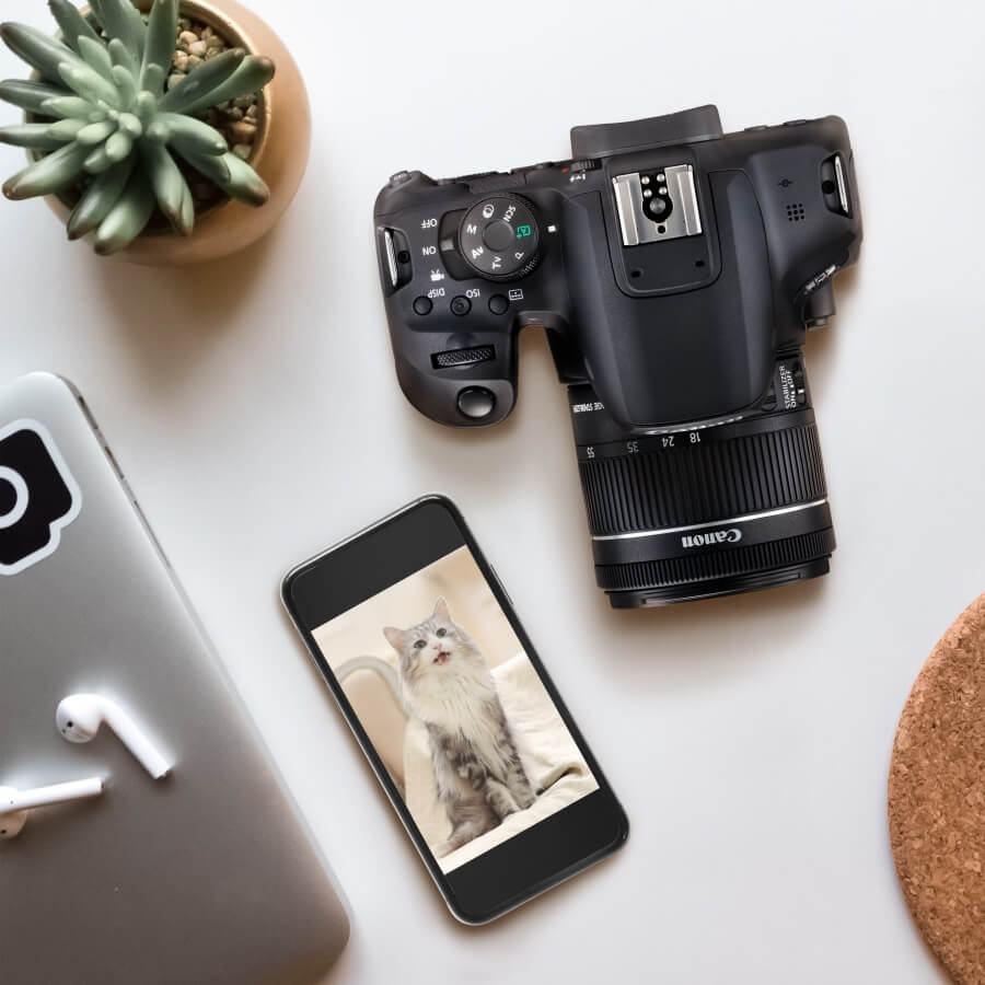 Canon EOS 850D 正式上市