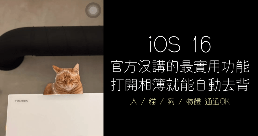 iOS 16 去背功能教學