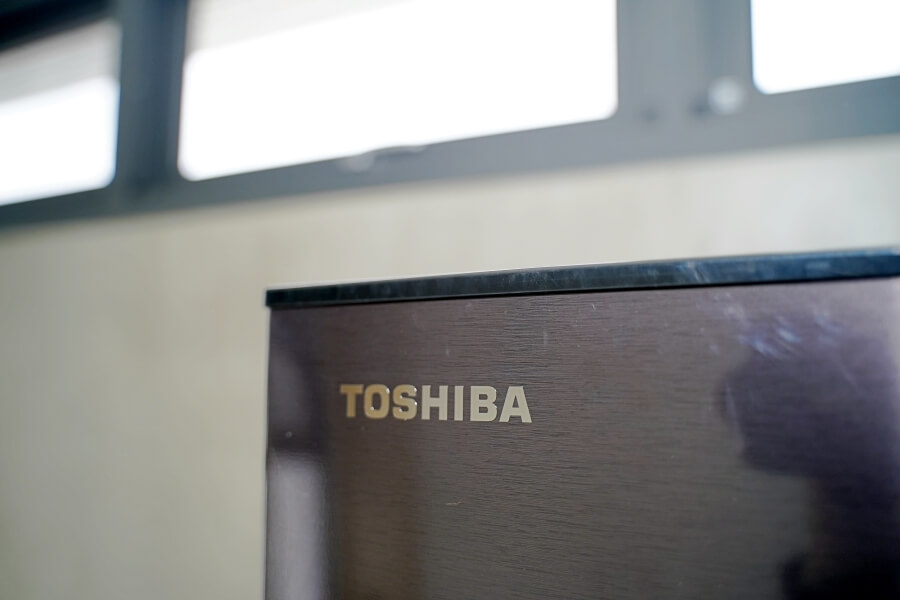 TOSHIBA 東芝 262L 雙門冰箱髮絲紋外觀