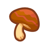 品鮮蘑菇